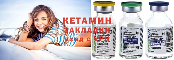 прущие грибы Михайлов