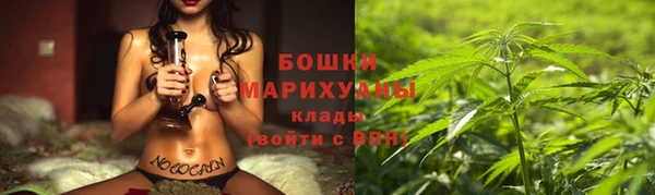 прущие грибы Михайлов