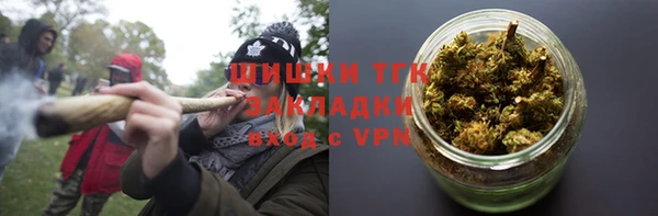 прущие грибы Михайлов