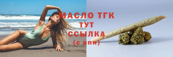 прущие грибы Михайлов