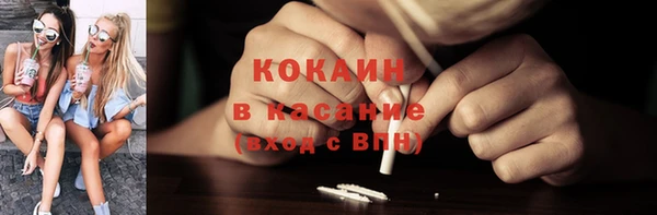прущие грибы Михайлов