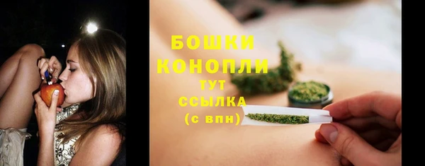 прущие грибы Михайлов