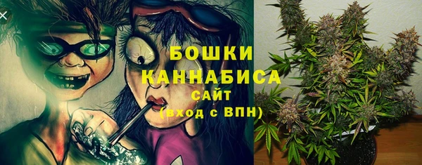 прущие грибы Михайлов