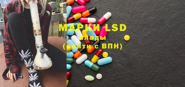 прущие грибы Михайлов