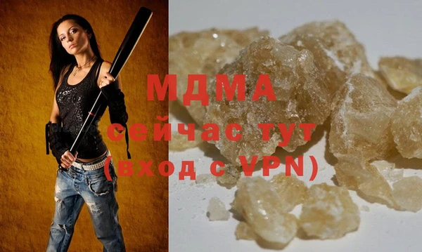 прущие грибы Михайлов