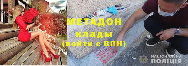 прущие грибы Михайлов