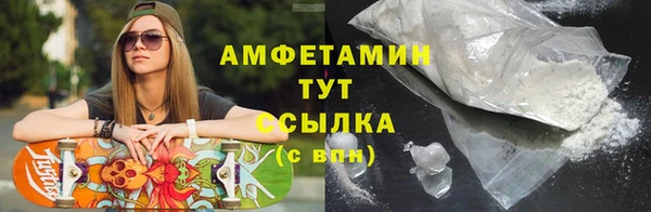 прущие грибы Михайлов